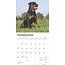 Calendrier Rottweiler 2025