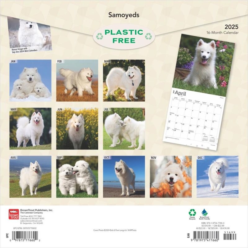Buy Samoyed Calendar 2025 Order easily online Kalenderwinkel.nl