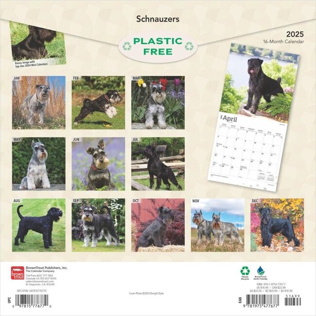 Buy Schnauzer Calendar 2025 Order easily online Kalenderwinkel.nl