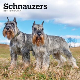 Browntrout Calendario Schnauzer 2025