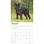 Calendario Schnauzer miniatura 2025