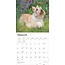 Calendrier Terrier écossais 2025