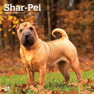 Browntrout Shar Pei Calendario 2025