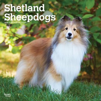 Browntrout Sheltie - Calendrier des chiens de berger des Shetland 2025
