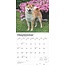 Calendario Shiba Inu 2025