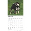 Shiba Inu Calendar 2025