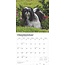 Calendrier Shih Tzu 2025