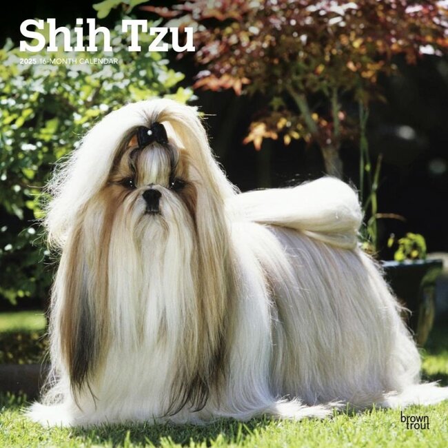 Browntrout Calendario Shih Tzu 2025