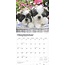 Shih Tzu Cachorros Calendario 2025