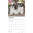 Shih Tzu Cachorros Calendario 2025