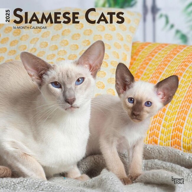 Calendario siamese 2025