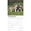 Calendario Husky Siberiano 2025