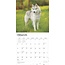 Calendario Husky Siberiano 2025