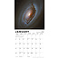 Images from the Hubble Space Telescope Kalender 2025