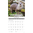 En Otter News Calendario 2025