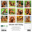 Irish Setter Kalender 2025