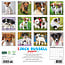 Jack Russell Terrier Chiots Calendrier 2025