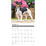 Calendario Jack Russell Terrier 2025