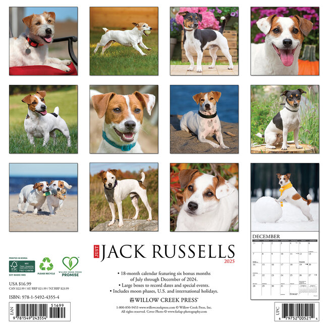 Jack Russell Terrier Calendar 2025 Buy Order easily online