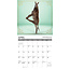 Calendario Jackass Yoga 2025