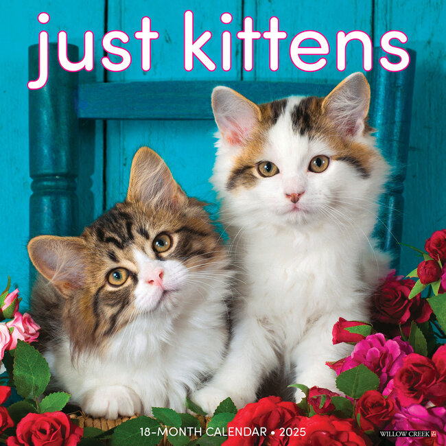 Willow Creek Kittens Calendar 2025