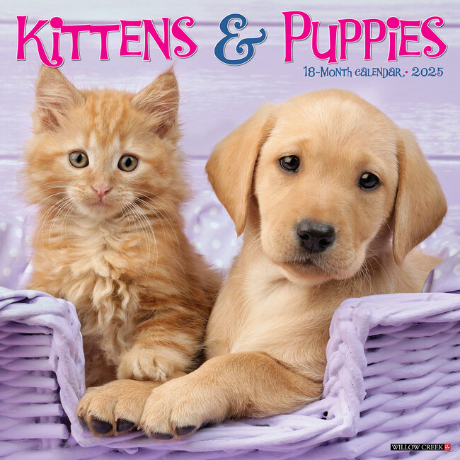 Willow Creek Kittens and Puppies Calendar 2025