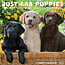 Labrador Retriever Puppies Calendrier 2025