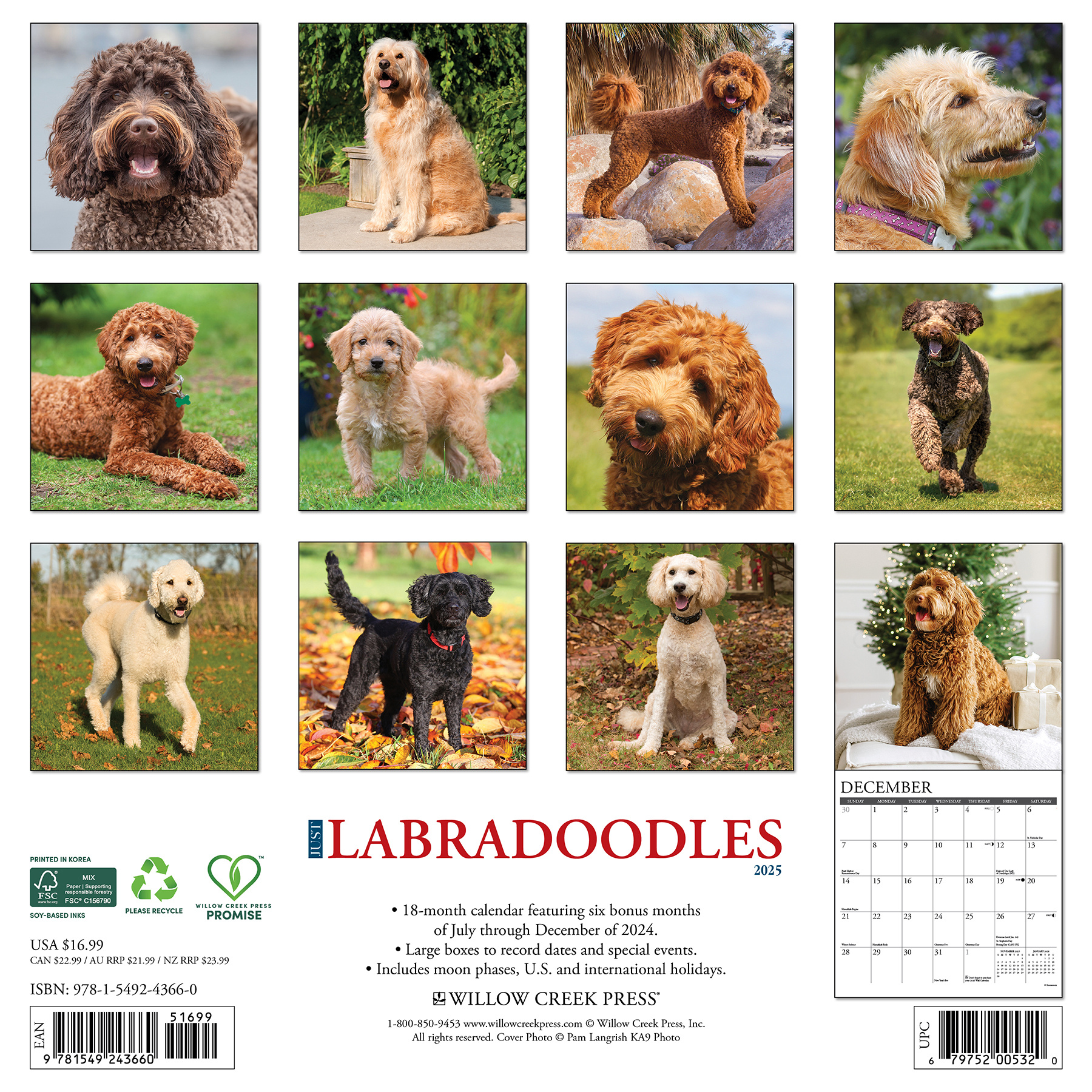 Buy Labradoodle Calendar 2025 Order easily online Kalenderwinkel.nl