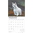 Calendario Cachorros Husky Siberiano 2025