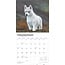 Siberian Husky Welpen Kalender 2025