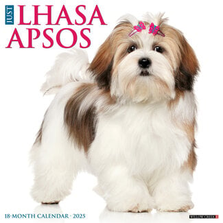 Willow Creek Calendario Lhasa Apso 2025