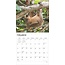 Sloth Calendar 2025