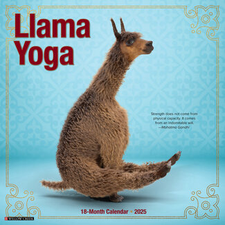 Willow Creek Calendario Llama Yoga 2025