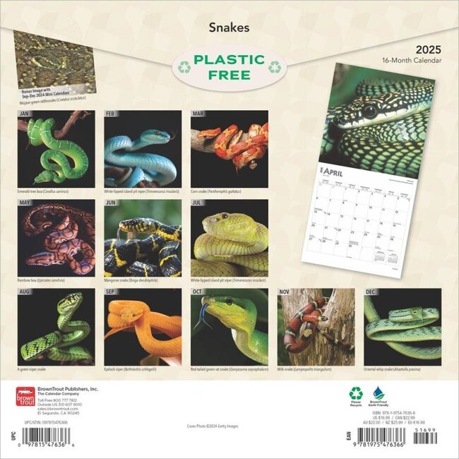 Buy Snake Calendar 2025? Order online quickly and easily