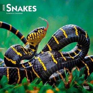 Browntrout Calendario dei serpenti 2025