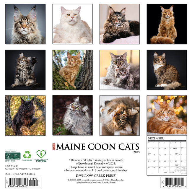 Maine Coon Calendario 2025 Comprar Orden fácilmente en línea