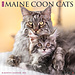 Willow Creek Calendrier Maine Coon 2025