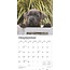 Calendario dei cuccioli di Staffordshire Bull Terrier 2025