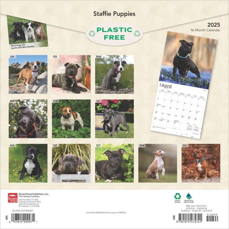 Staffordshire Bull Terrier Puppies Calendar 2025 Buy? Kalenderwinkel.nl