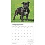 Calendario Staffordshire Bull Terrier 2025