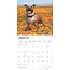 Calendario Staffordshire Bull Terrier 2025