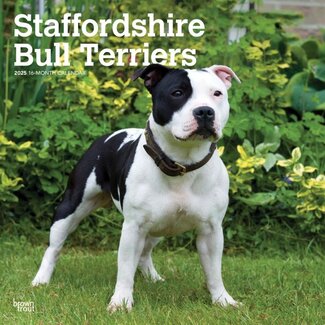 Browntrout Staffordshire Bull Terrier Calendario 2025