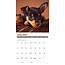 Calendario Pinscher in miniatura 2025