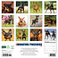 Calendario Pinscher miniatura 2025