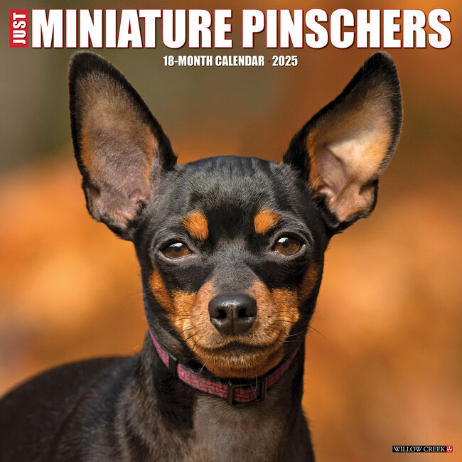 Calendario Pinscher in miniatura 2025