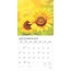 Calendario dei girasoli 2025