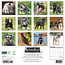 Calendrier Schnauzer miniature 2025