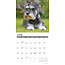 Calendario Schnauzer in miniatura 2025