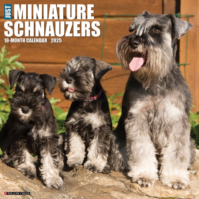 Calendario Schnauzer miniatura 2025