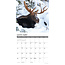 Elch/Moose Kalender 2025